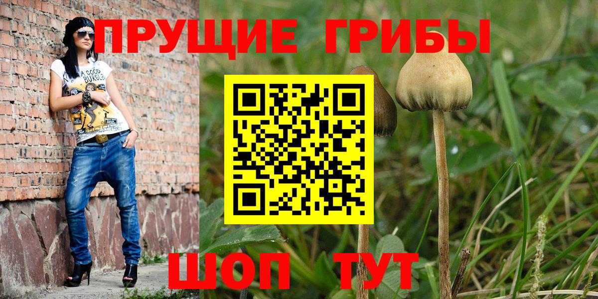 Галлюциногенные грибы прущие грибы  Вход с VPN  Псилоцибиновые грибы Cubensis  Железногорск 