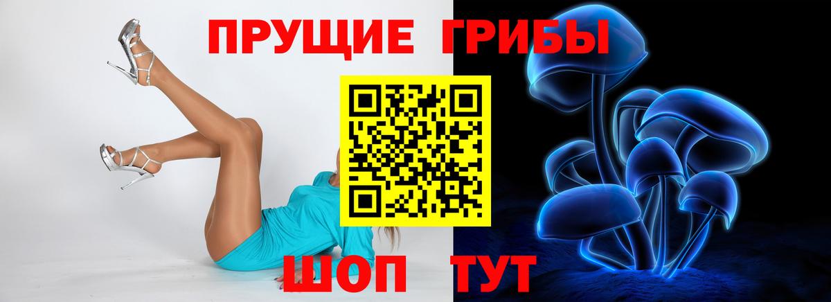 Галлюциногенные грибы MAGIC MUSHROOMS Железногорск
